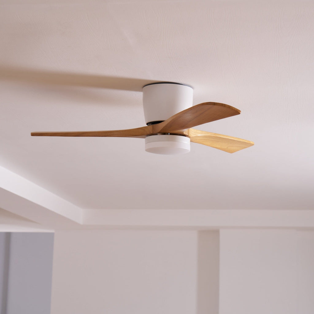 Wooden ceiling fan with integrated light over a living area