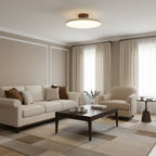 Adjustable ceiling lamp glowing warm above a living space