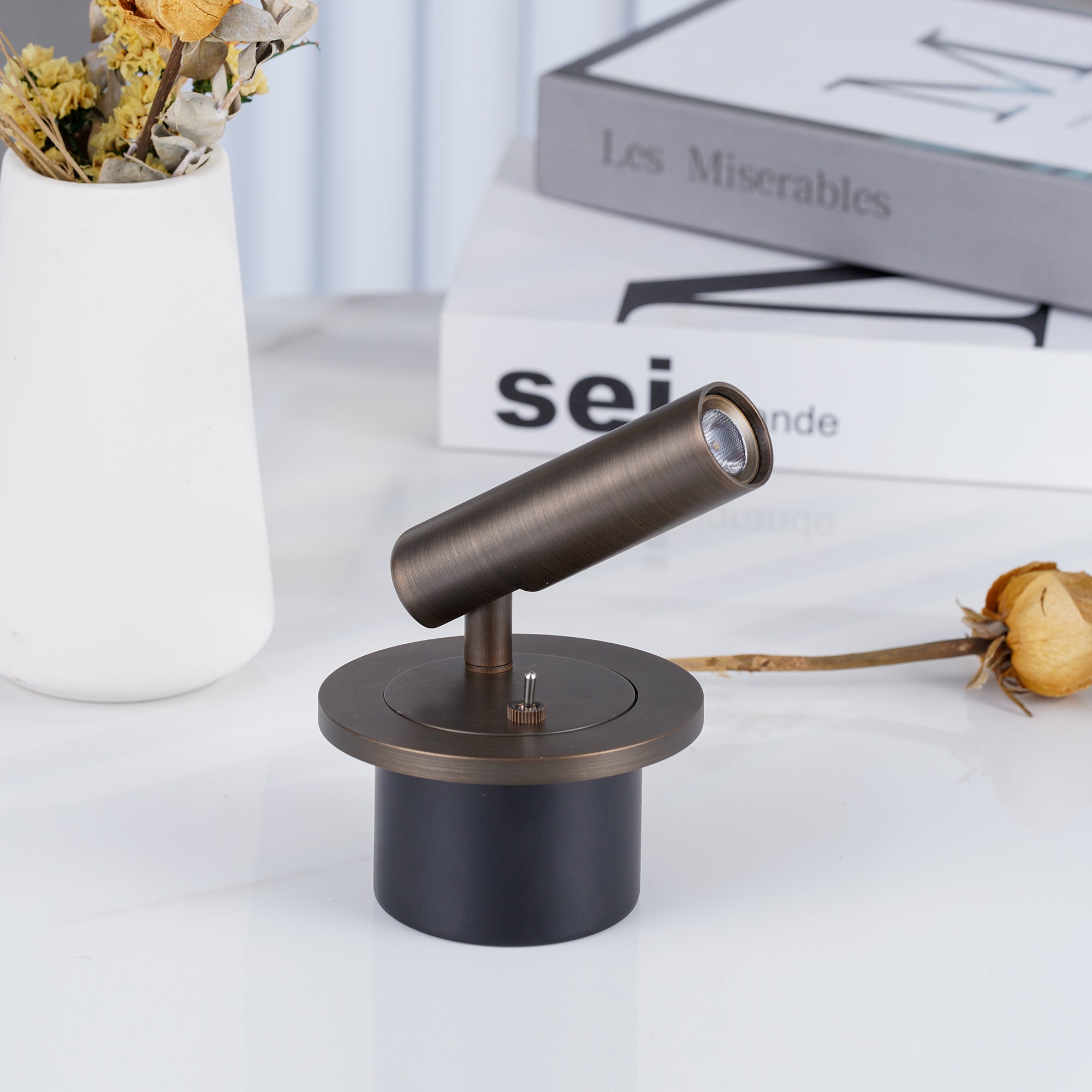 Adjustable wall lamp arm tilted and rotated at the joint