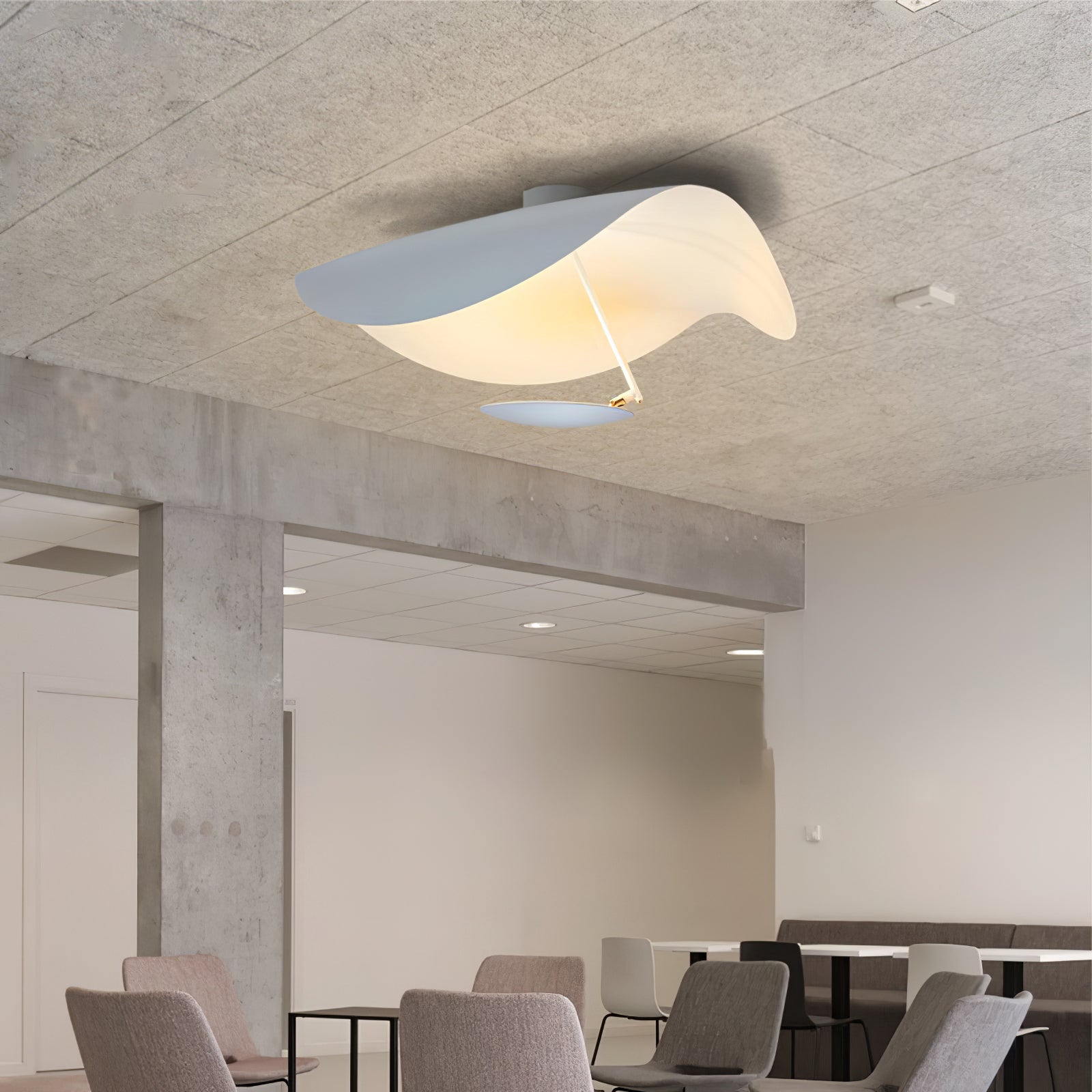 Curved disc ceiling light with a soft downward glow