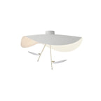 Curved disc ceiling light casting a soft even glow