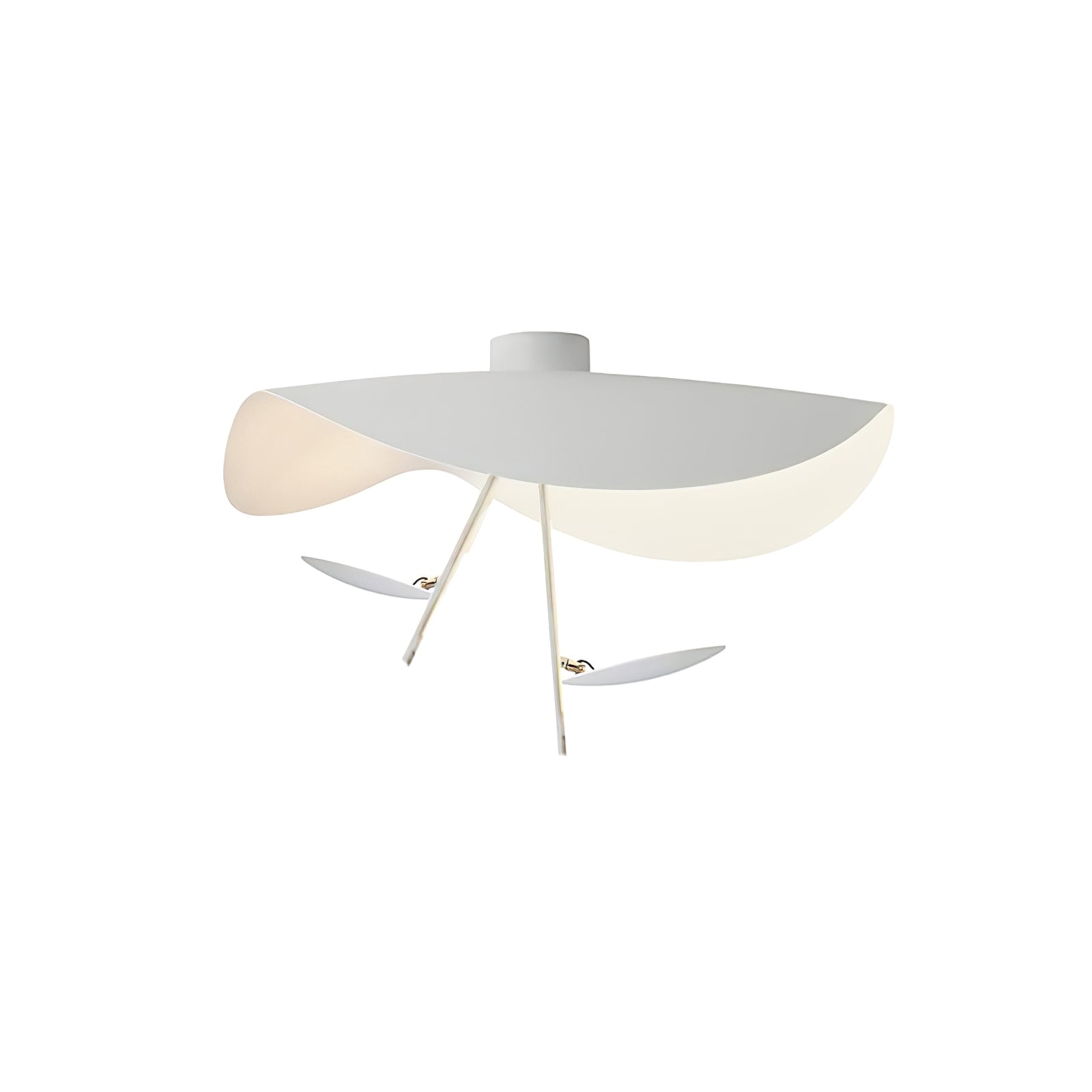 Curved disc ceiling light casting a soft even glow