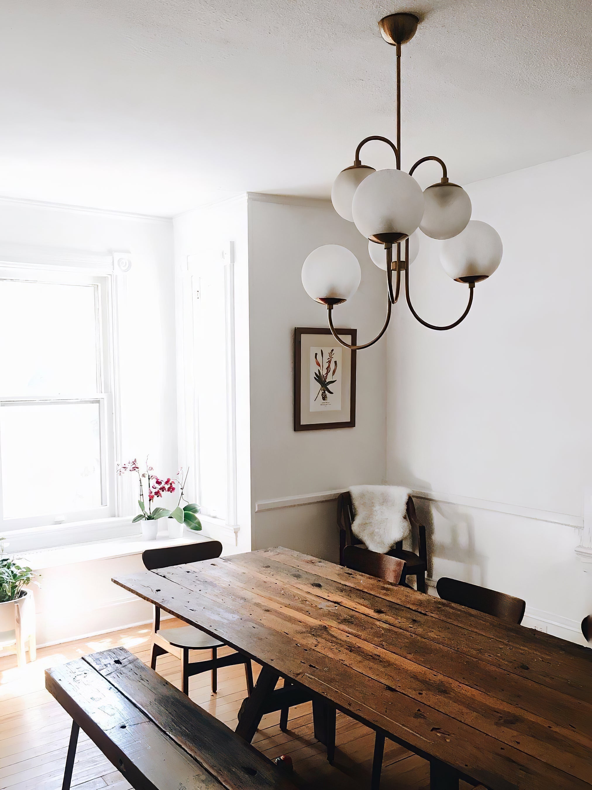 Gooseneck Chandelier, Wrought Iron, White Glass Globes, E14