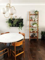 Gooseneck Chandelier, Wrought Iron, White Glass Globes, E14