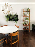 Gooseneck Chandelier, Wrought Iron, White Glass Globes, E14