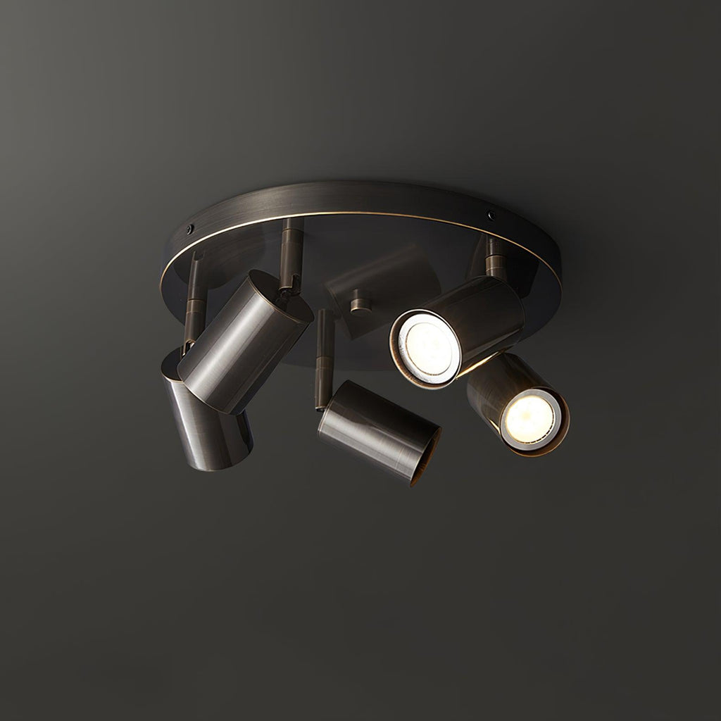 Brass spotlight ceiling light with adjustable directional heads