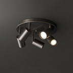 Brass spotlight ceiling light with adjustable directional heads