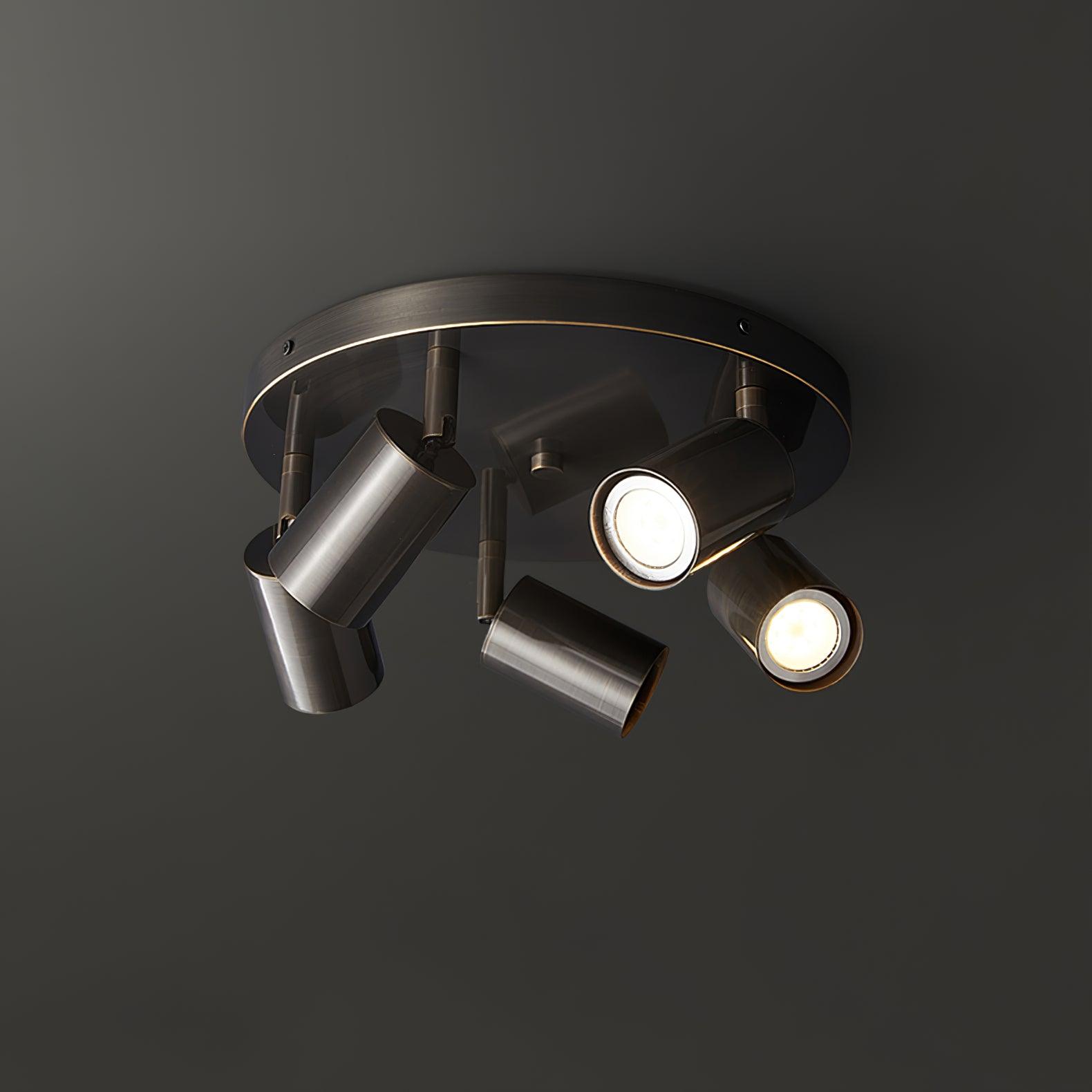 Brass spotlight ceiling light with adjustable directional heads