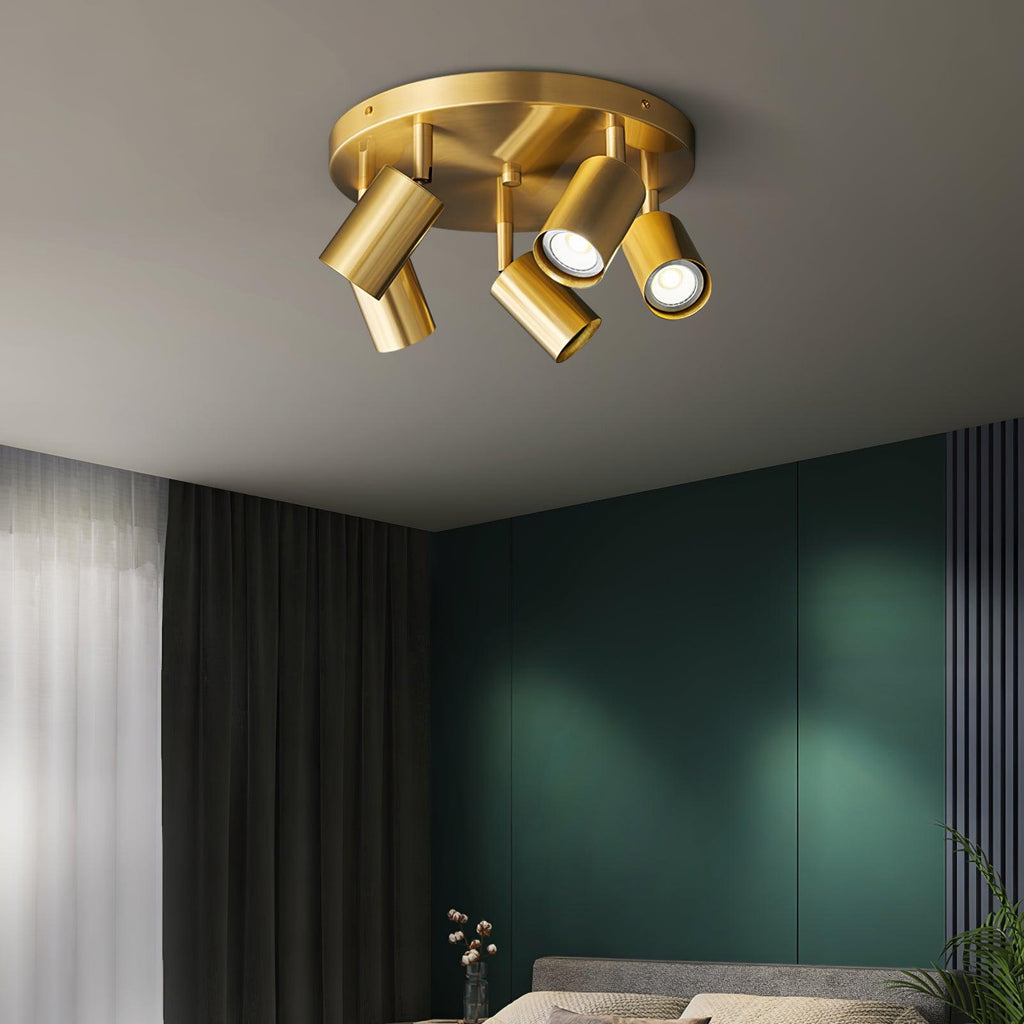 Metal and brass spotlight ceiling light mounted overhead