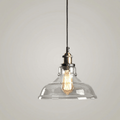 12-Inch Vintage Pendant Light, Curved Glass Shade With Metal Fixture