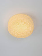 Adler ceiling light detail of diffused light across glass