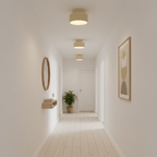 Specification diagram of pleated resin ceiling light size