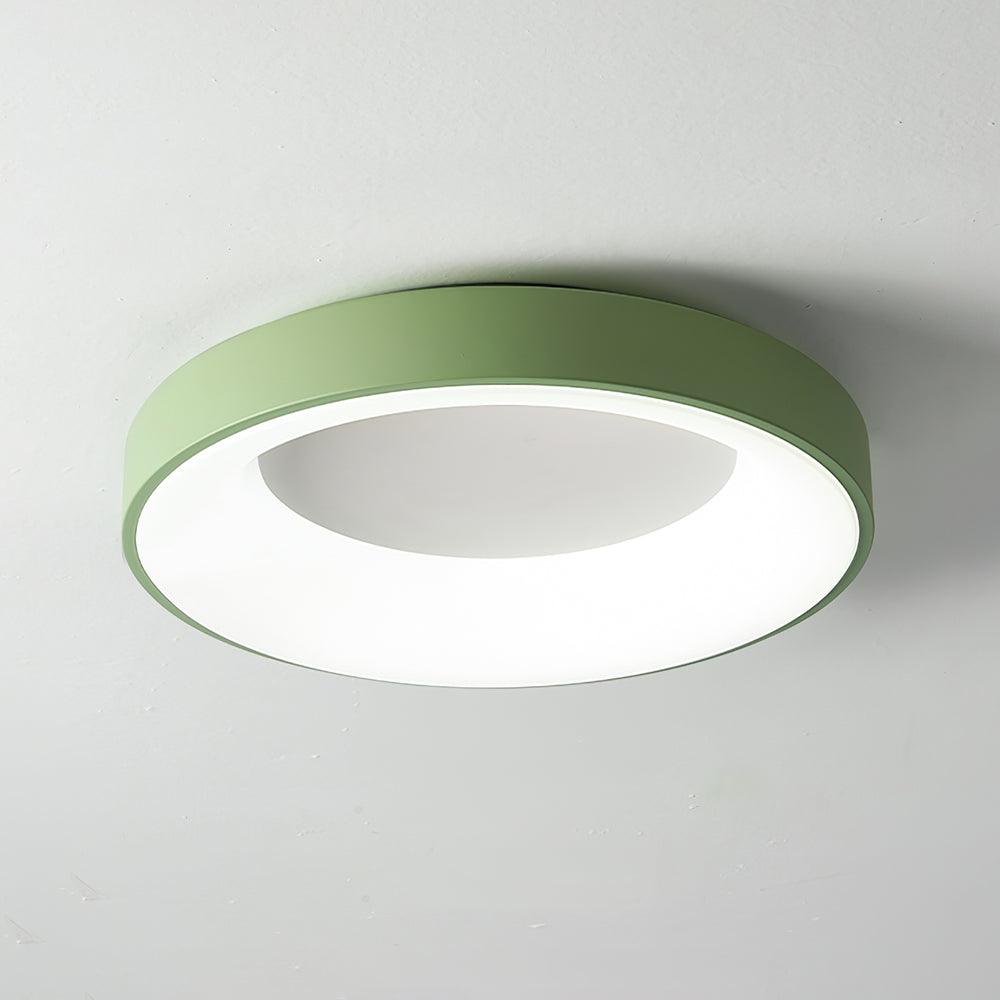 Green round ceiling light lit softly as a botanical accent