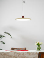 Swing arm disc pendant light with counterweight on an articulating arm