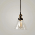Clear Glass Pendant Light, Vintage Metal Fixture, Industrial Loft Style