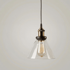 Clear Glass Pendant Light, Vintage Metal Fixture, Industrial Loft Style