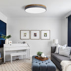 Round LED Ceiling Light, 12-Inch Layered Frame With Circular Diffuser