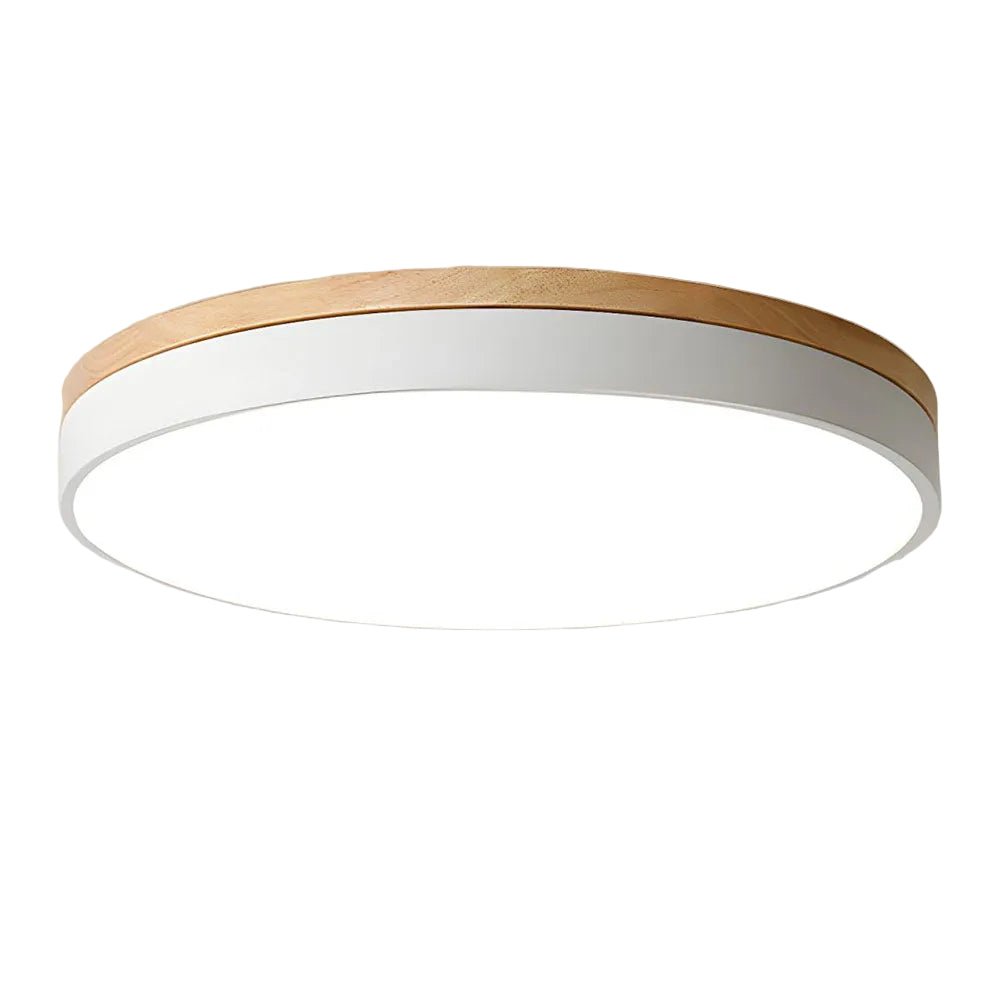 Round LED Ceiling Light, 12-Inch Layered Frame With Circular Diffuser