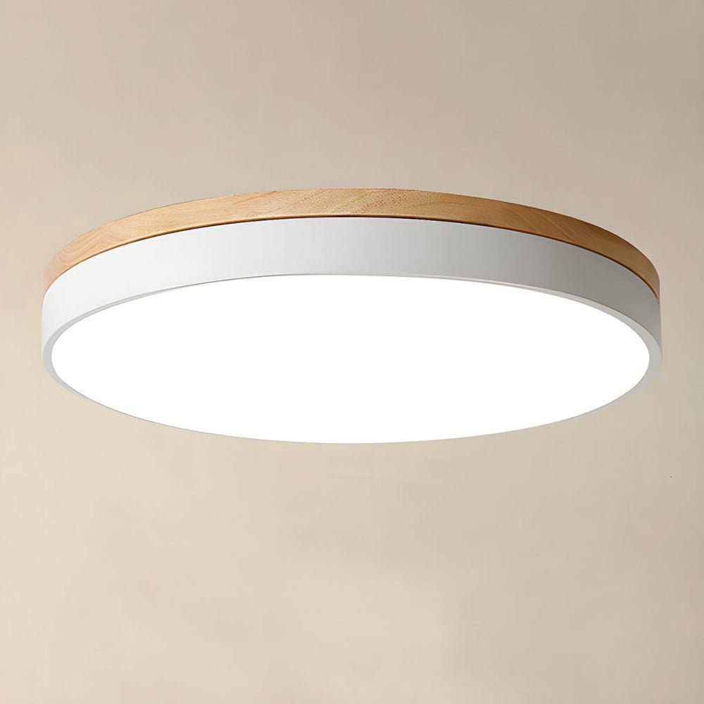 Round LED Ceiling Light, 12-Inch Layered Frame With Circular Diffuser