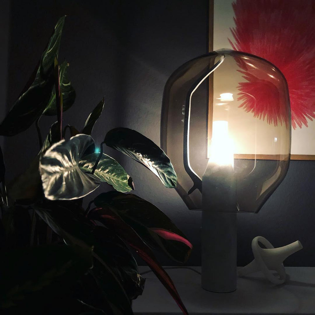 A blue-grey glass Clérachic lamp lit in a dim room, its light picking out large plant leaves and a red dried flower.