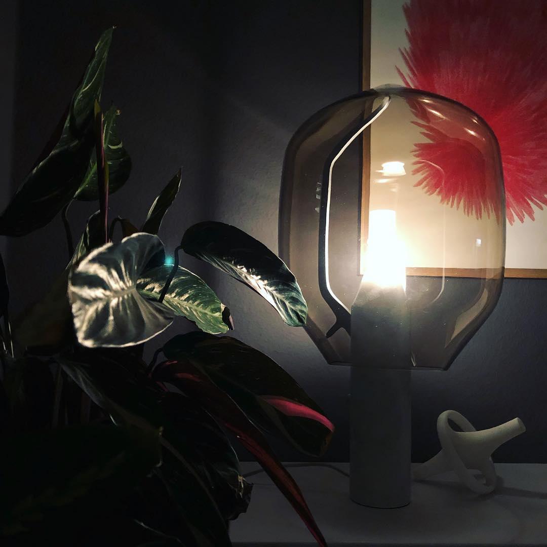 A blue-grey glass Clérachic lamp lit in a dim room, its light picking out large plant leaves and a red dried flower.