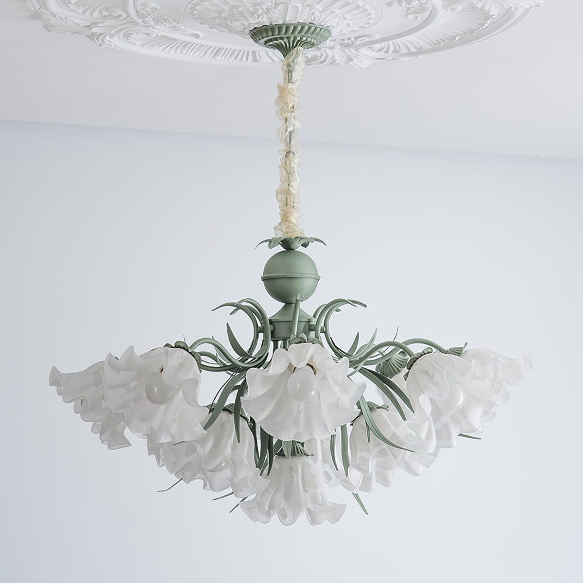 Against a bright white backdrop, this Clérachic chandelier's unlit shades spread in a wide ring.