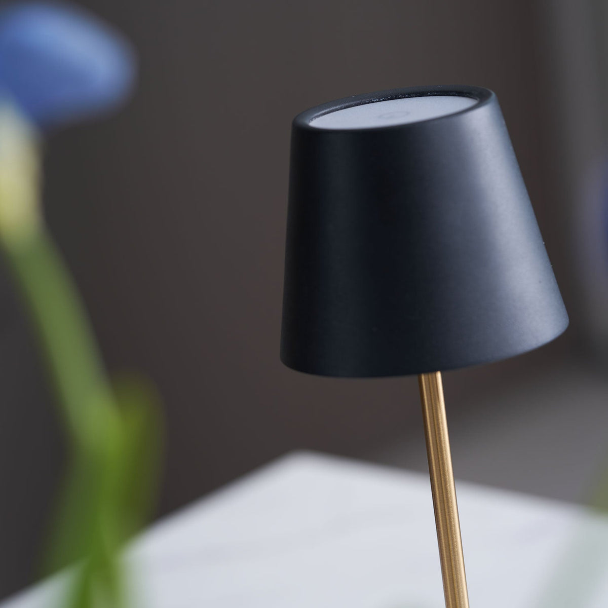 Macro close-up of a Clérachic table lamp's brass stem and shade edge, a blue flower stem crossing in front of it.
