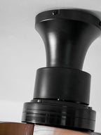 Lotus Bloom ceiling fan light viewed from a low angle