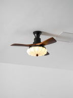 Lotus Bloom ceiling fan light with walnut blades, room view