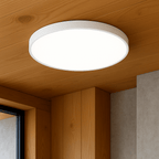 Indbygningsrund loftslampe med LED, 12-tommer jernrammearmatur