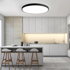 Indbygningsrund loftslampe med LED, 12-tommer jernrammearmatur