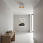 Compact globe ceiling light with a wood-grain shell