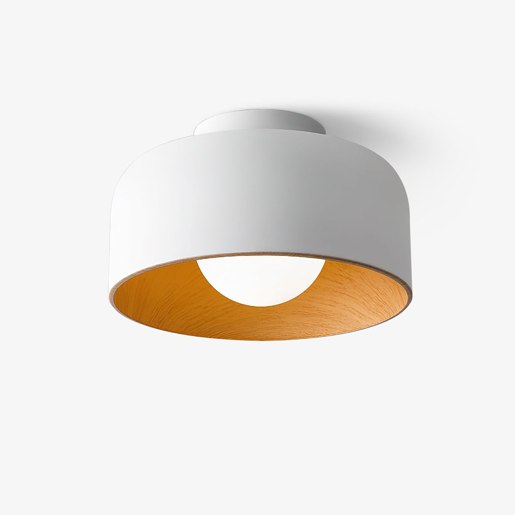 White glass globe light with a wood-grain lined shell
