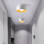 Glass globe ceiling light mounted on a ceiling