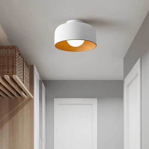 White glass globe light with a walnut-grain shell