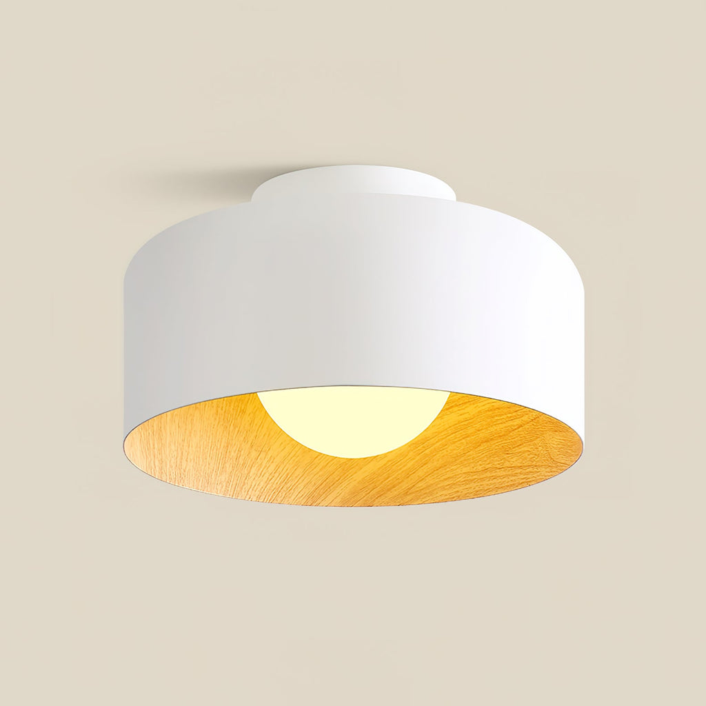 Globe ceiling light glowing warm against a matte shell