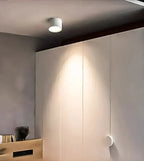 12-Inch Matte Iron Ceiling Light, Cylindrical Flush-Mount Fixture
