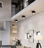 12-Inch Matte Iron Ceiling Light, Cylindrical Flush-Mount Fixture