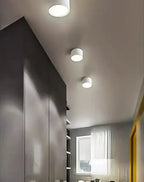 12-Inch Matte Iron Ceiling Light, Cylindrical Flush-Mount Fixture