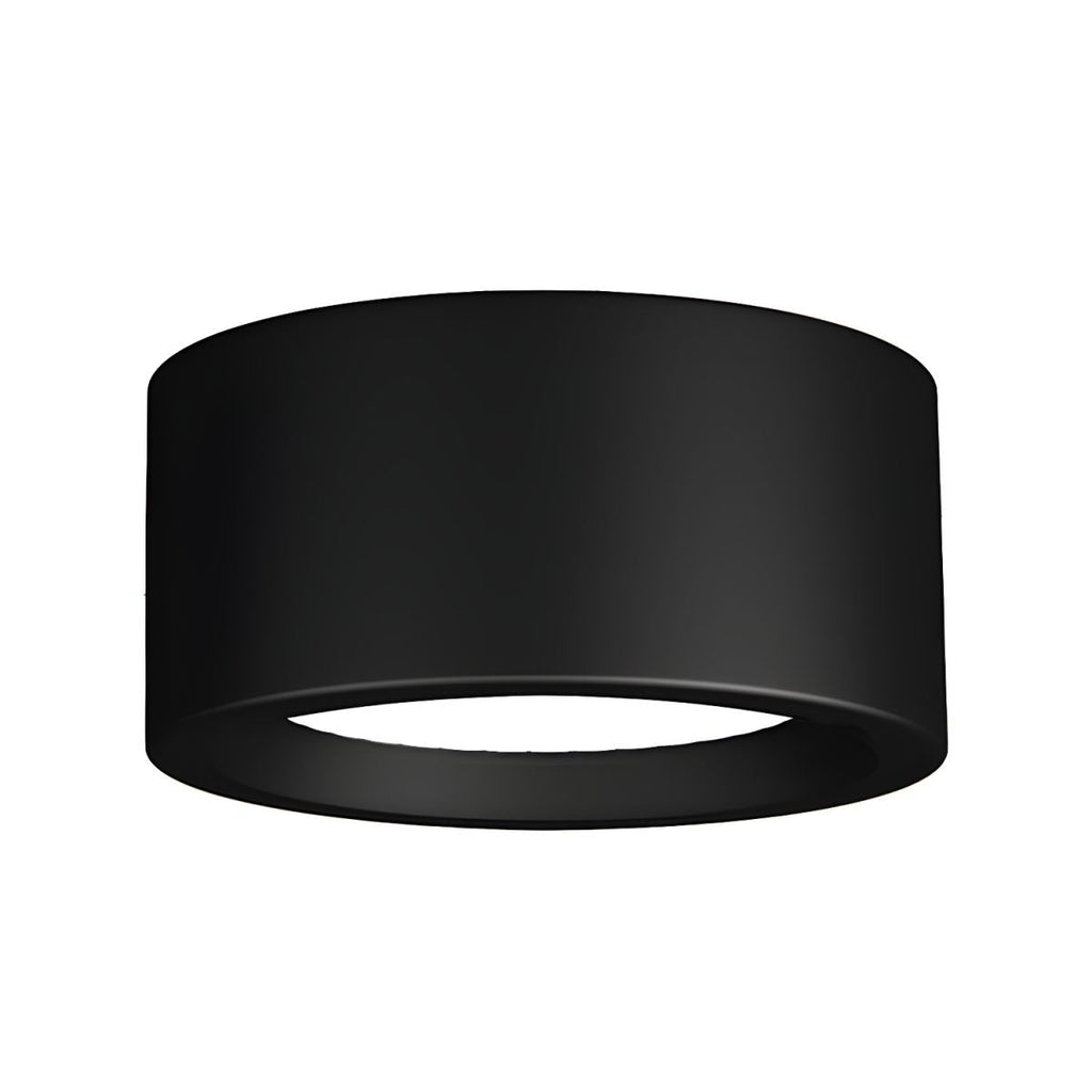 12-Inch Matte Iron Ceiling Light, Cylindrical Flush-Mount Fixture