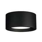 12-Inch Matte Iron Ceiling Light, Cylindrical Flush-Mount Fixture
