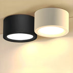 12-Inch Matte Iron Ceiling Light, Cylindrical Flush-Mount Fixture