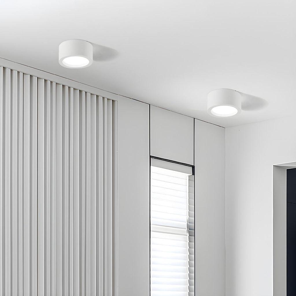 12-Inch Matte Iron Ceiling Light, Cylindrical Flush-Mount Fixture