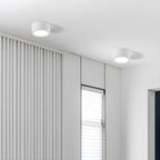 12-Inch Matte Iron Ceiling Light, Cylindrical Flush-Mount Fixture