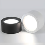 12-Inch Matte Iron Ceiling Light, Cylindrical Flush-Mount Fixture