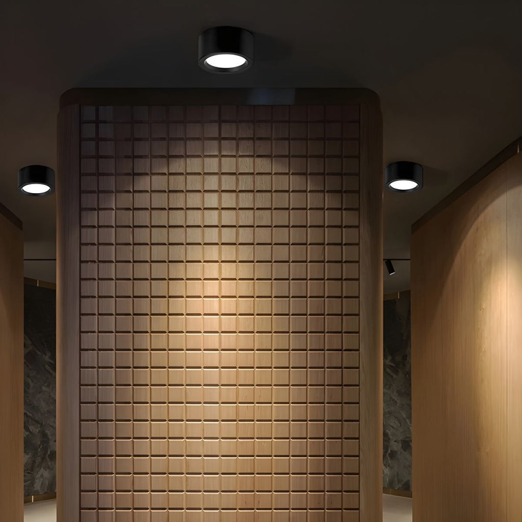 12-Inch Matte Iron Ceiling Light, Cylindrical Flush-Mount Fixture