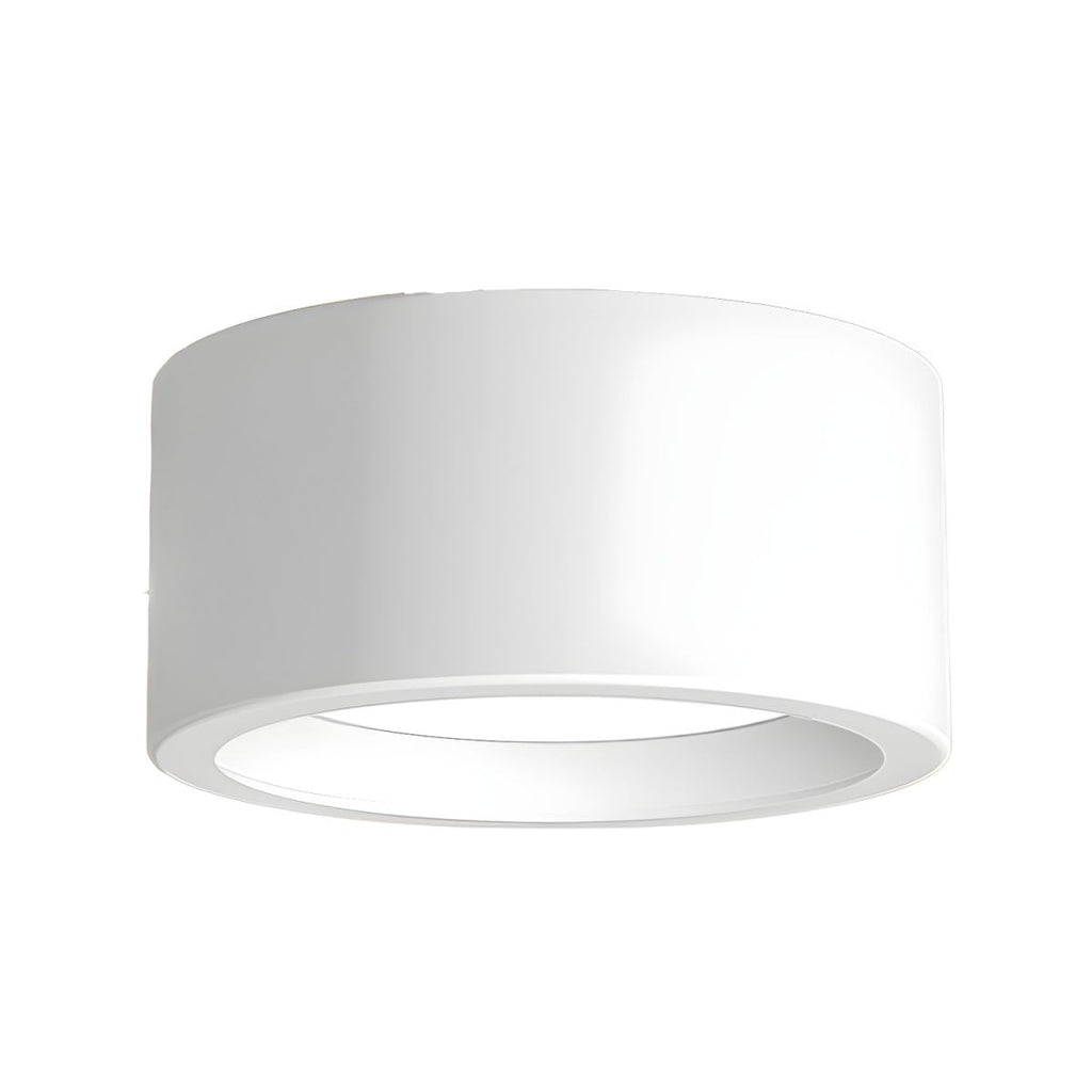 12-Inch Matte Iron Ceiling Light, Cylindrical Flush-Mount Fixture