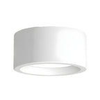 12-Inch Matte Iron Ceiling Light, Cylindrical Flush-Mount Fixture