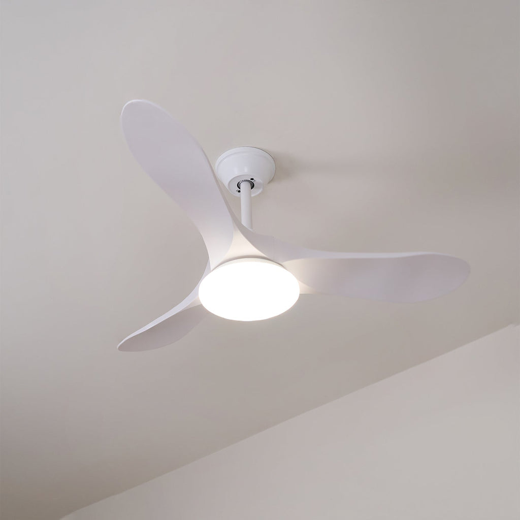 Solid wood ceiling fan light shown in a styled home interior