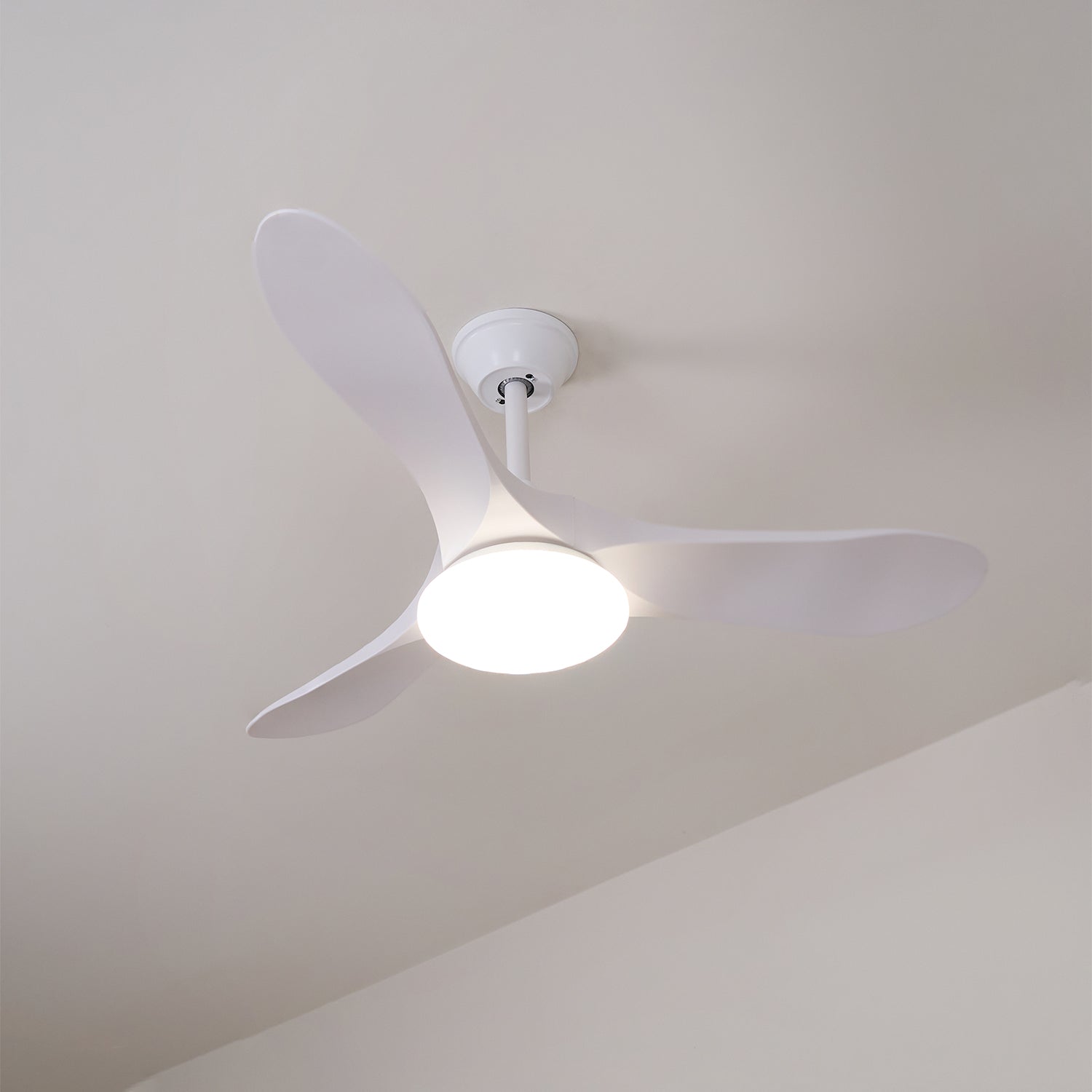 Solid wood ceiling fan light shown in a styled home interior